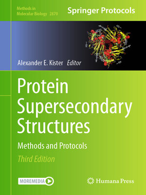 cover image of Protein Supersecondary Structures